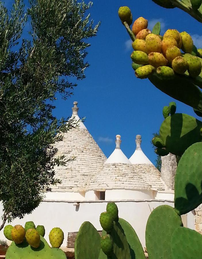 Trulli Il Geco Sognante Βίλα Ceglie Messapica Εξωτερικό φωτογραφία